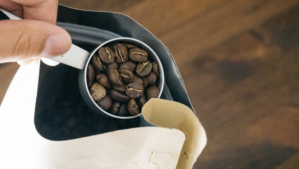Meg Le Vu's Quick Guide to Coffee - BLK CITY COFFEE